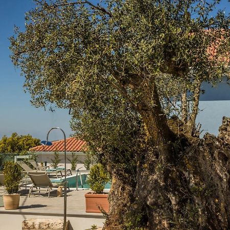 Summertime Villas Аргостолион Екстериор снимка